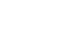Shield.png